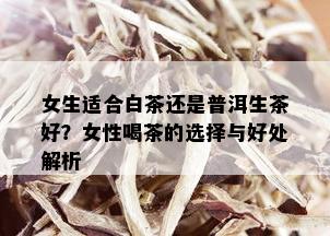 女生适合白茶还是普洱生茶好？女性喝茶的选择与好处解析