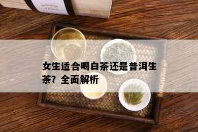 女生适合喝白茶还是普洱生茶？全面解析