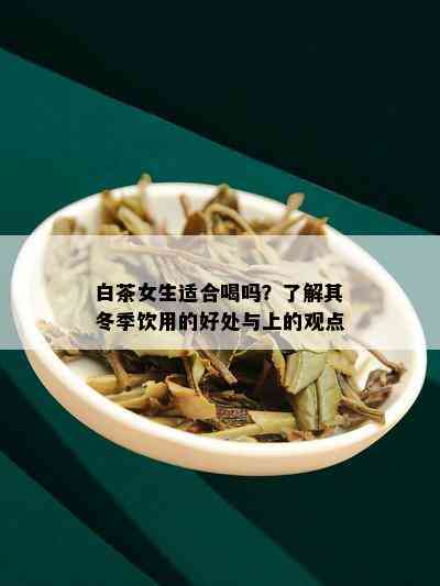 白茶女生适合喝吗？了解其冬季饮用的好处与上的观点