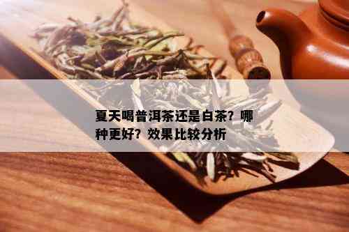 夏天喝普洱茶还是白茶？哪种更好？效果比较分析