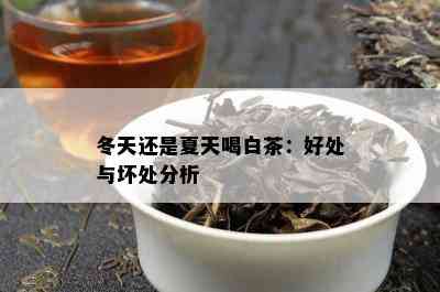 冬天还是夏天喝白茶：好处与坏处分析