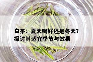 白茶：夏天喝好还是冬天？探讨其适宜季节与效果