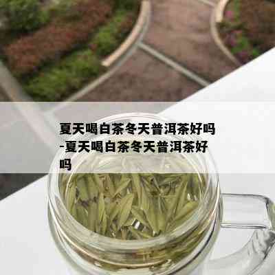 夏天喝白茶冬天普洱茶好吗-夏天喝白茶冬天普洱茶好吗