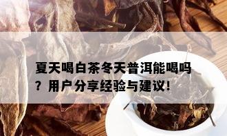 夏天喝白茶冬天普洱能喝吗？用户分享经验与建议！