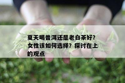 夏天喝普洱还是老白茶好？女性该如何选择？探讨在上的观点