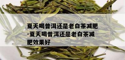 夏天喝普洱还是老白茶减肥-夏天喝普洱还是老白茶减肥效果好