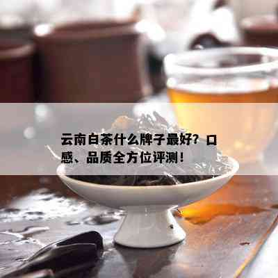 云南白茶什么牌子更好？口感、品质全方位评测！