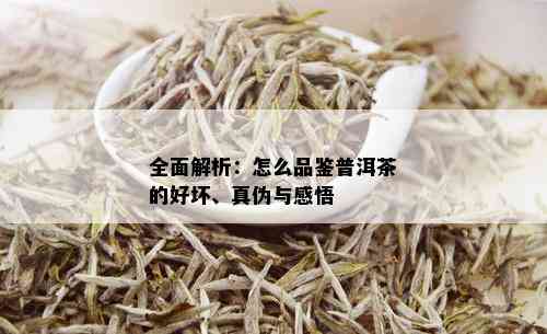 全面解析：怎么品鉴普洱茶的好坏、真伪与感悟