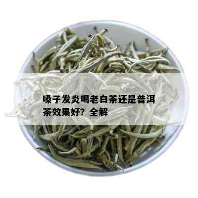 嗓子发炎喝老白茶还是普洱茶效果好？全解