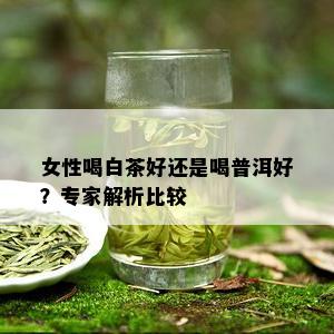 女性喝白茶好还是喝普洱好？专家解析比较