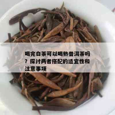 喝完白茶可以喝熟普洱茶吗？探讨两者搭配的适宜性和注意事项