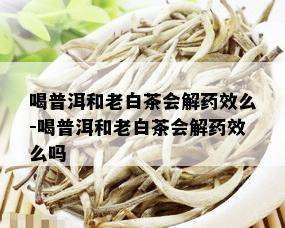 喝普洱和老白茶会解药效么-喝普洱和老白茶会解药效么吗