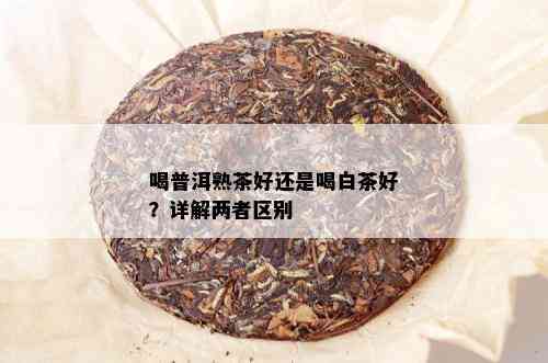 喝普洱熟茶好还是喝白茶好？详解两者区别