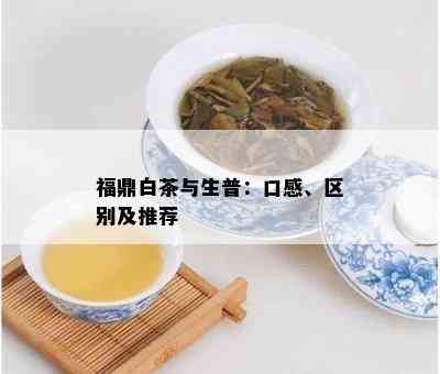 福鼎白茶与生普：口感、区别及推荐