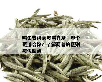 喝生普洱茶与喝白茶：哪个更适合你？了解两者的区别与优缺点