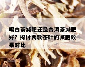 喝白茶减肥还是普洱茶减肥好？探讨两款茶叶的减肥效果对比