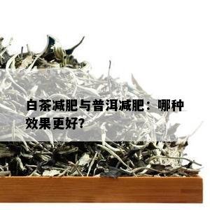 白茶减肥与普洱减肥：哪种效果更好？