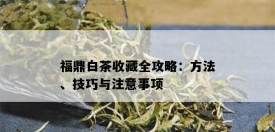 福鼎白茶收藏全攻略：方法、技巧与注意事项