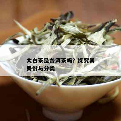 大白茶是普洱茶吗？探究其身份与分类