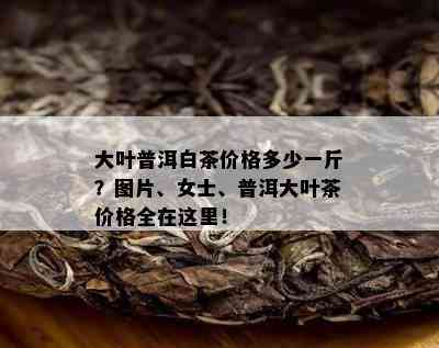 大叶普洱白茶价格多少一斤？图片、女士、普洱大叶茶价格全在这里！