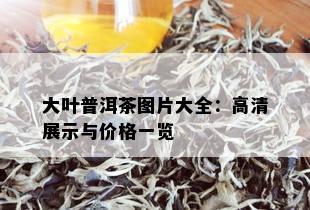 大叶普洱茶图片大全：高清展示与价格一览