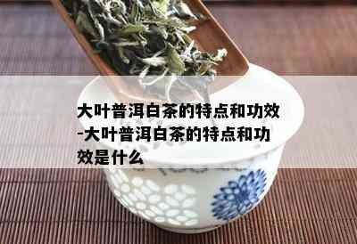 大叶普洱白茶的特点和功效-大叶普洱白茶的特点和功效是什么