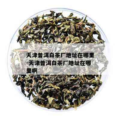 天津普洱白茶厂地址在哪里-天津普洱白茶厂地址在哪里啊