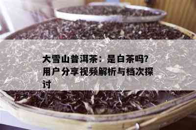 大雪山普洱茶：是白茶吗？用户分享视频解析与档次探讨