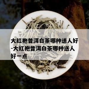 大红袍普洱白茶哪种送人好-大红袍普洱白茶哪种送人好一点