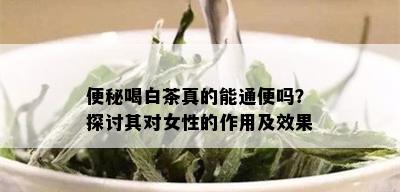 便秘喝白茶真的能通便吗？探讨其对女性的作用及效果