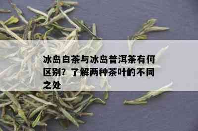 冰岛白茶与冰岛普洱茶有何区别？了解两种茶叶的不同之处