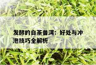 发酵的白茶普洱：好处与冲泡技巧全解析