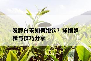 发酵白茶如何泡饮？详细步骤与技巧分享