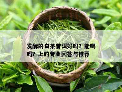 发酵的白茶普洱好吗？能喝吗？上的专业回答与推荐