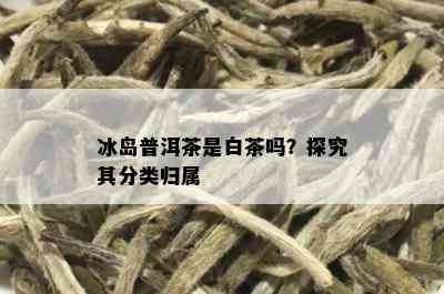 冰岛普洱茶是白茶吗？探究其分类归属