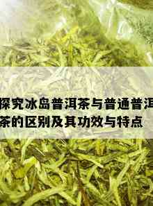 探究冰岛普洱茶与普通普洱茶的区别及其功效与特点