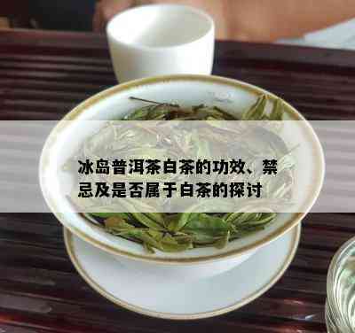 冰岛普洱茶白茶的功效、禁忌及是否属于白茶的探讨