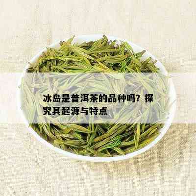 冰岛是普洱茶的品种吗？探究其起源与特点