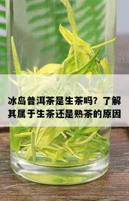 冰岛普洱茶是生茶吗？了解其属于生茶还是熟茶的原因