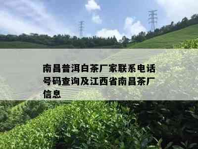 南昌普洱白茶厂家联系电话号码查询及江西省南昌茶厂信息