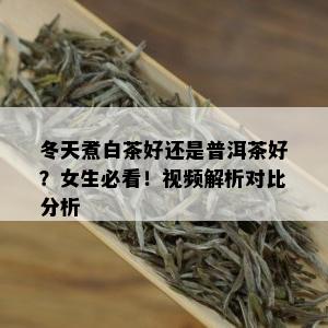 冬天煮白茶好还是普洱茶好？女生必看！视频解析对比分析