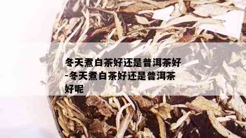 冬天煮白茶好还是普洱茶好-冬天煮白茶好还是普洱茶好呢