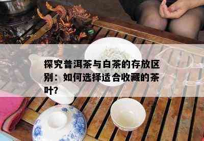 探究普洱茶与白茶的存放区别：如何选择适合收藏的茶叶？