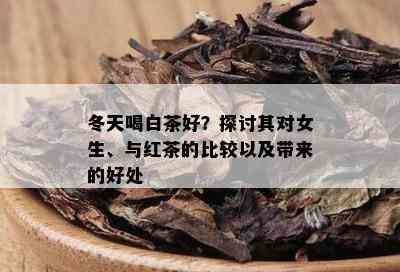 冬天喝白茶好？探讨其对女生、与红茶的比较以及带来的好处