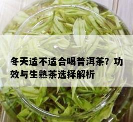 冬天适不适合喝普洱茶？功效与生熟茶选择解析