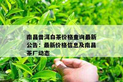 南昌普洱白茶价格查询最新公告：最新价格信息及南昌茶厂动态