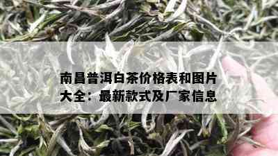 南昌普洱白茶价格表和图片大全：最新款式及厂家信息