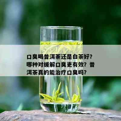 口臭喝普洱茶还是白茶好？哪种对缓解口臭更有效？普洱茶真的能治疗口臭吗？