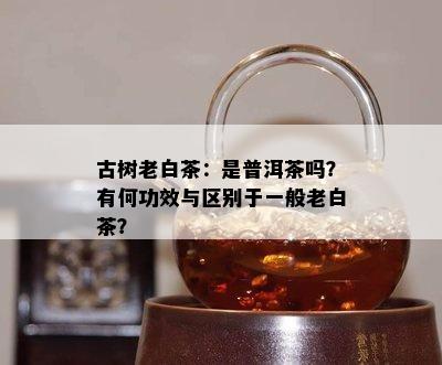 古树老白茶：是普洱茶吗？有何功效与区别于一般老白茶？