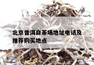 北京普洱白茶场地址电话及推荐购买地点